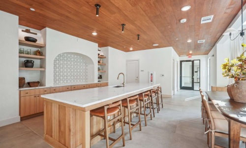 Beautiful kitchens with designer finishes